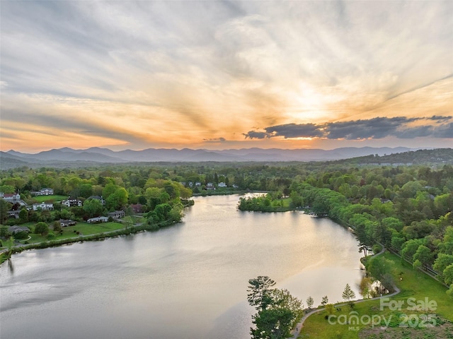 44 Ardoyne Rd, Asheville, NC 28804 - photo 48