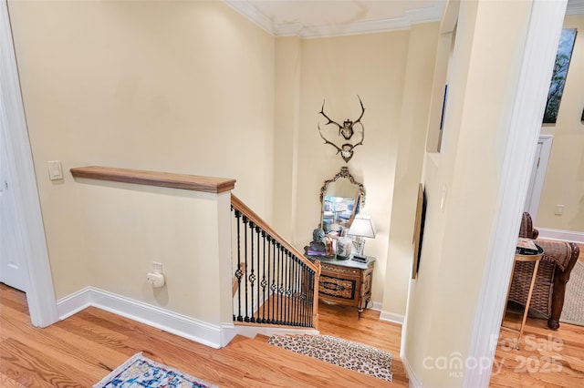 43 Towne Place Dr, Hendersonville, NC 28792 - photo 29
