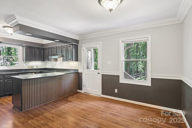 8 Hickory Ridge Ct, Clover, SC 29710 - kitchen featuring dark countertops, crown molding, wood finished floors, a peninsula, and under cabinet range hood