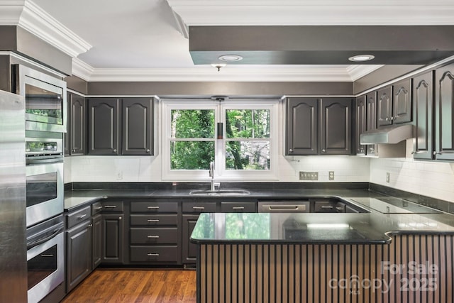 8 Hickory Ridge Ct, Clover, SC 29710 - kitchen with appliances with stainless steel finishes, under cabinet range hood, ornamental molding, a peninsula, and backsplash