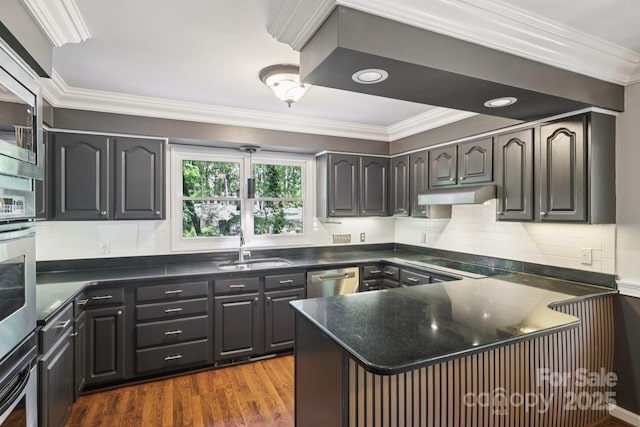8 Hickory Ridge Ct, Clover, SC 29710 - kitchen with appliances with stainless steel finishes, crown molding, under cabinet range hood, a peninsula, and dark wood finished floors