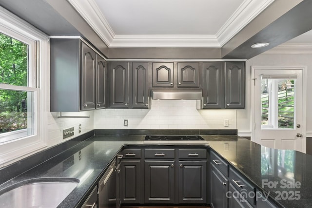 8 Hickory Ridge Ct, Clover, SC 29710 - kitchen with black electric cooktop, stainless steel dishwasher, plenty of natural light, under cabinet range hood, and ornamental molding