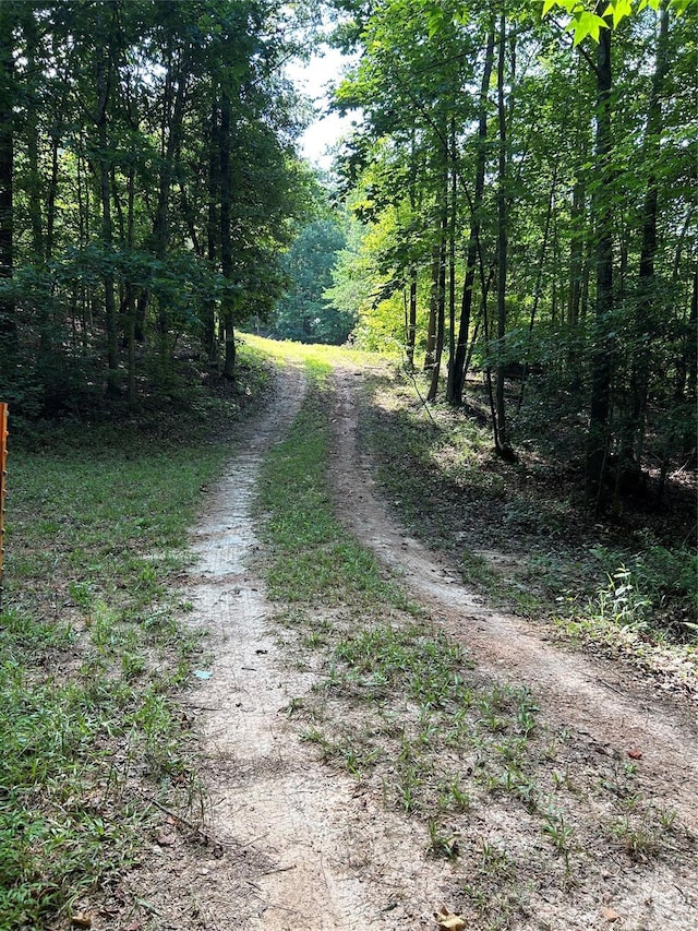 430 Moss Trl, Blacksburg, SC 29702 - photo 1