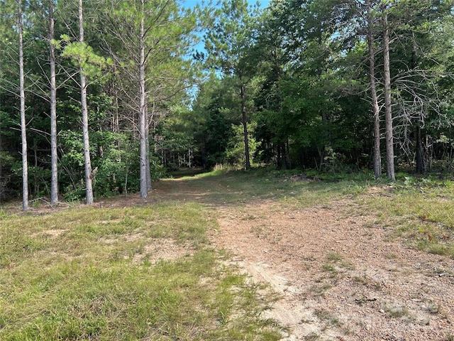 430 Moss Trl, Blacksburg, SC 29702 - photo 2