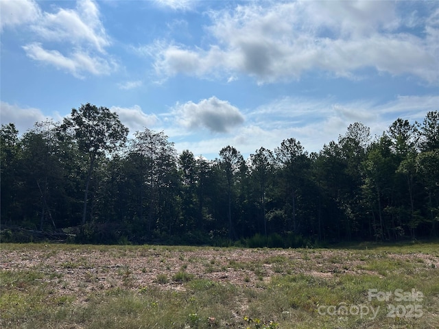 430 Moss Trl, Blacksburg, SC 29702 - photo 5