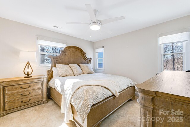 11 By The Wayside Dr, Columbus, NC 28722 - bedroom featuring light colored carpet and multiple windows