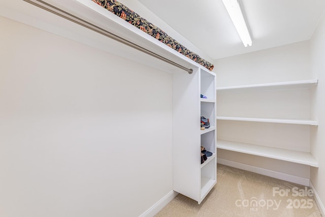 11 By The Wayside Dr, Columbus, NC 28722 - walk in closet featuring carpet floors