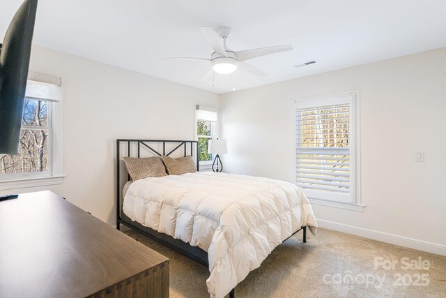 11 By The Wayside Dr, Columbus, NC 28722 - carpeted bedroom featuring baseboards and ceiling fan