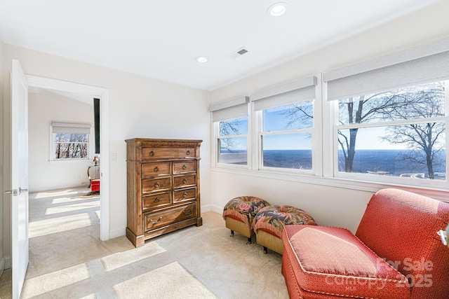 11 By The Wayside Dr, Columbus, NC 28722 - living area featuring light carpet and recessed lighting