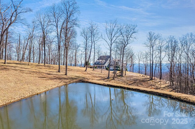 11 By The Wayside Dr, Columbus, NC 28722 - water view