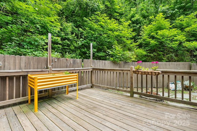 104 Jurassic Dr, Cashiers, NC 28717 - photo 33