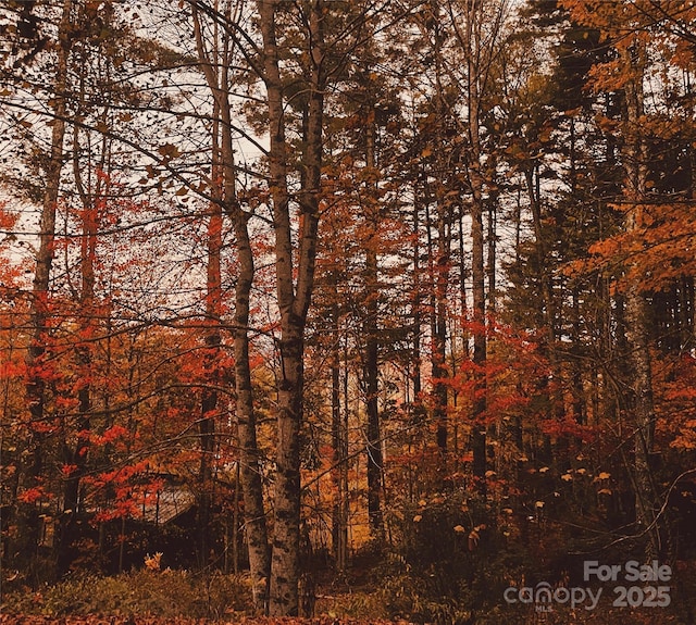 104 Jurassic Dr, Cashiers, NC 28717 - photo 40