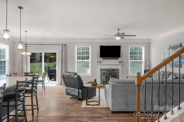 236 Robinwood Ln, Clover, SC 29710 - living area featuring a ceiling fan, a fireplace, wood finished floors, plenty of natural light, and ornamental molding