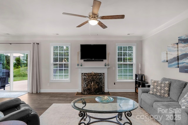 236 Robinwood Ln, Clover, SC 29710 - living area featuring wood finished floors, a ceiling fan, a high end fireplace, and ornamental molding