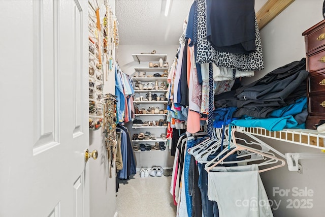2838 Candleberry Ct, Charlotte, NC 28210 - view of spacious closet