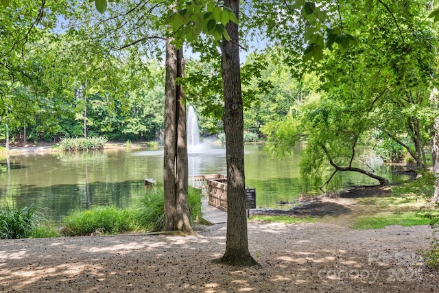 2838 Candleberry Ct, Charlotte, NC 28210 - water view