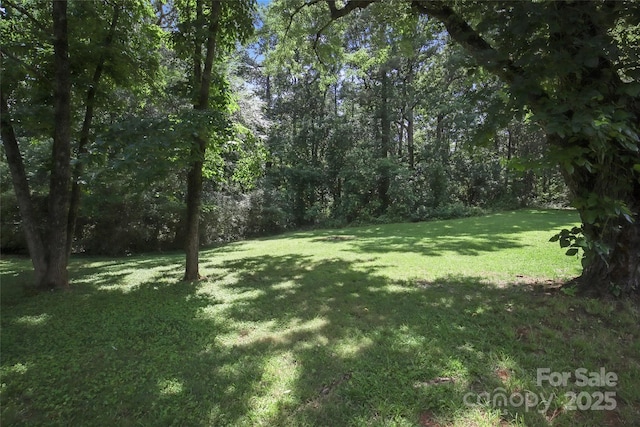 412 Capps Hill Mine Rd, Charlotte, NC 28216 - photo 25