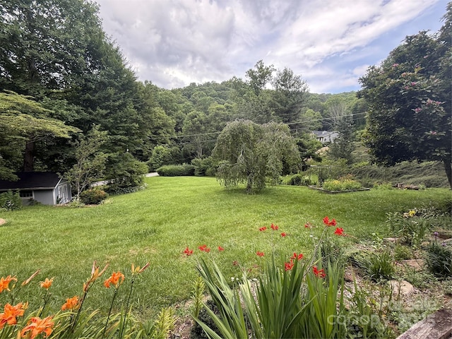 46 High Meadow Ln, Waynesville, NC 28786 - photo 2