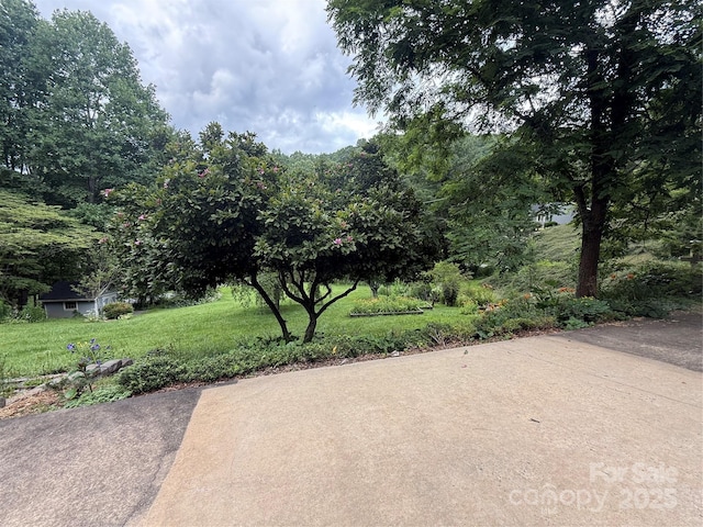 46 High Meadow Ln, Waynesville, NC 28786 - photo 22