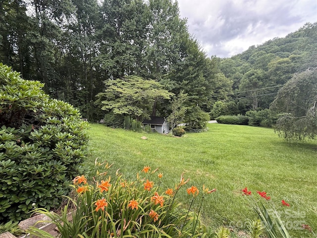 46 High Meadow Ln, Waynesville, NC 28786 - photo 25