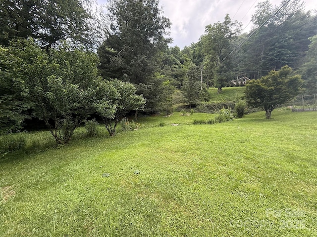46 High Meadow Ln, Waynesville, NC 28786 - photo 27