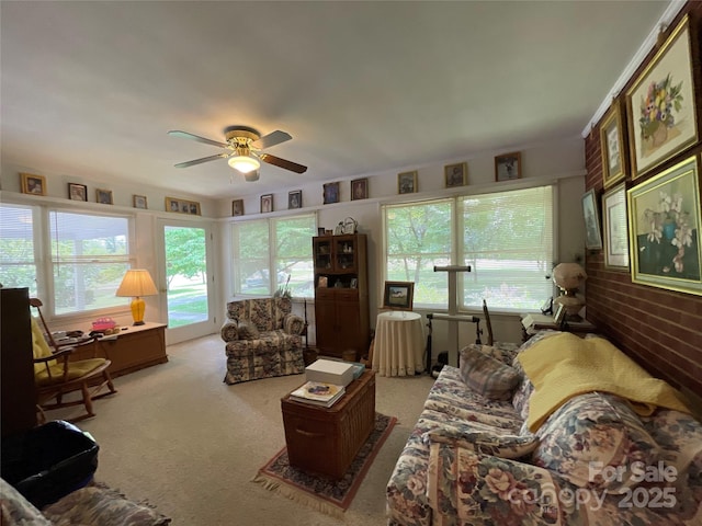 506 Hearne Farm Rd, Mount Gilead, NC 27306 - photo 19