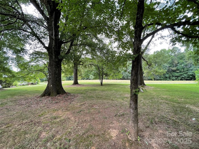 506 Hearne Farm Rd, Mount Gilead, NC 27306 - photo 28