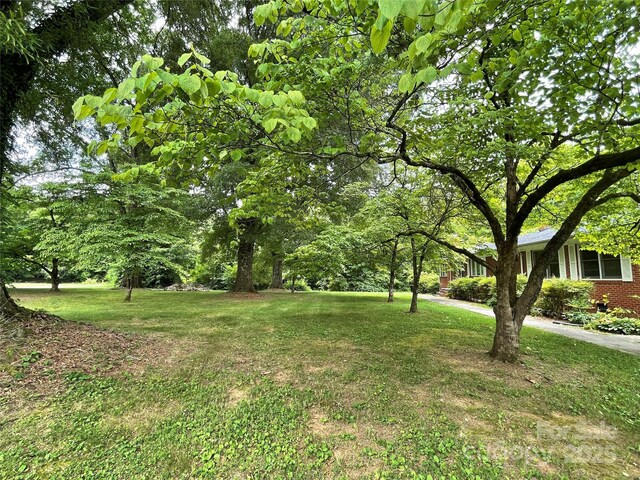 506 Hearne Farm Rd, Mount Gilead, NC 27306 - photo 29