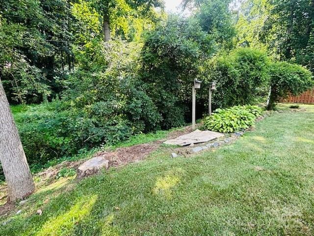 6340 Ellesmere Ct, Mint Hill, NC 28227 - photo 11