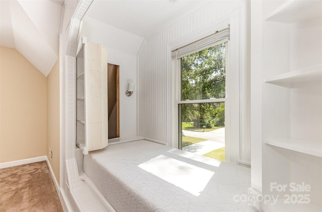 3313 Blue Jay Pass, Fort Mill, SC 29708 - photo 25