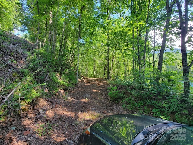 100 Village Ln Unit 26, Waynesville, NC 28786 - photo 3