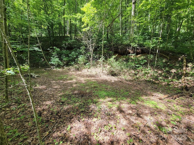 100 Village Ln Unit 26, Waynesville, NC 28786 - photo 4