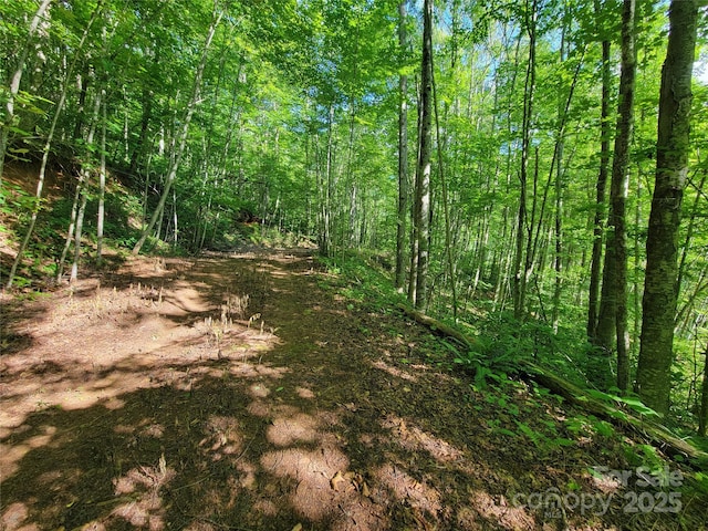 100 Village Ln Unit 26, Waynesville, NC 28786 - photo 6