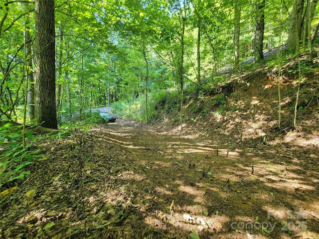 100 Village Ln Unit 26, Waynesville, NC 28786 - photo 7
