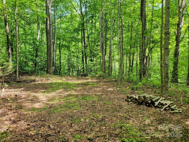 100 Village Ln Unit 26, Waynesville, NC 28786 - photo 8