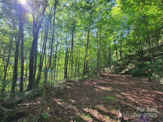 100 Village Ln Unit 26, Waynesville, NC 28786 - photo 10