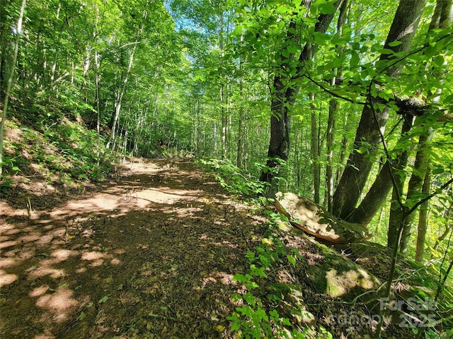 100 Village Ln Unit 26, Waynesville, NC 28786 - photo 11