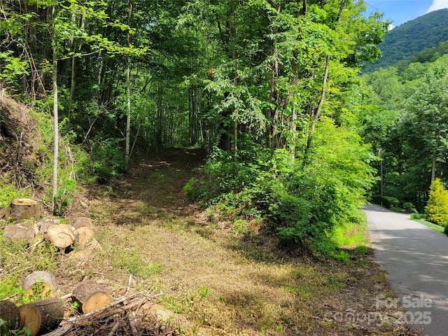 100 Village Ln Unit 26, Waynesville, NC 28786 - photo 13