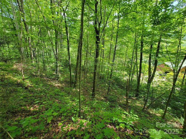 100 Village Ln Unit 26, Waynesville, NC 28786 - photo 14