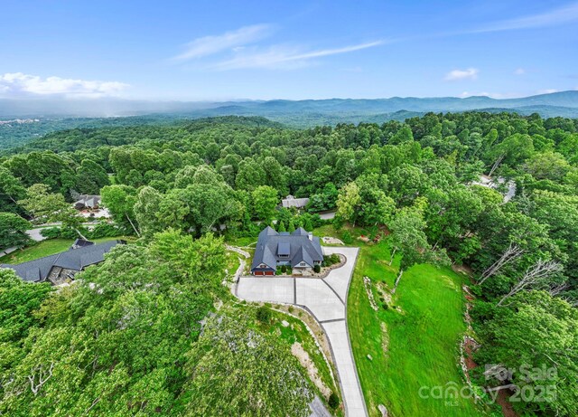 231 Tower Cir, Laurel Park, NC 28739 - photo 47