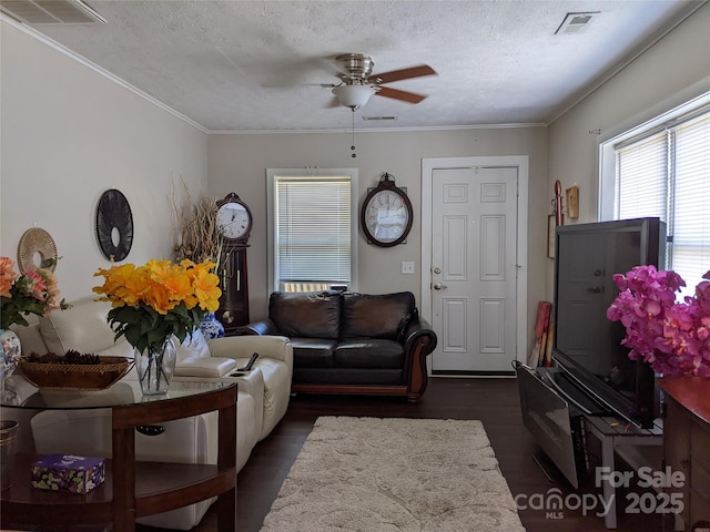 25 Liner Ct, Waynesville, NC 28786 - photo 14
