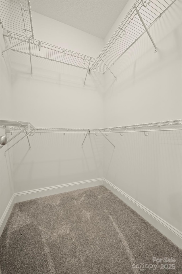 321 Benjamins Way Unit 48, Hendersonville, NC 28792 - walk in closet with carpet flooring
