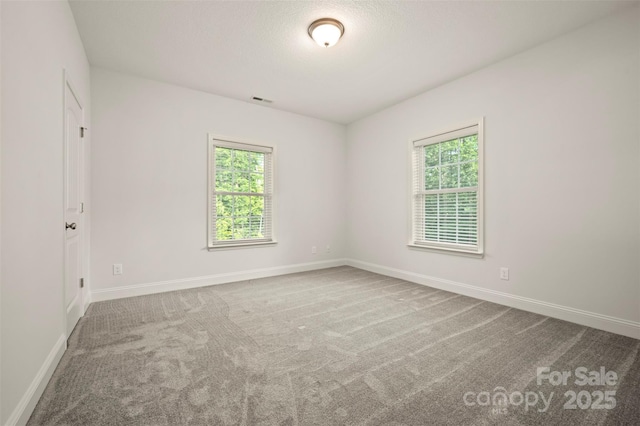 321 Benjamins Way Unit 48, Hendersonville, NC 28792 - carpeted empty room featuring plenty of natural light
