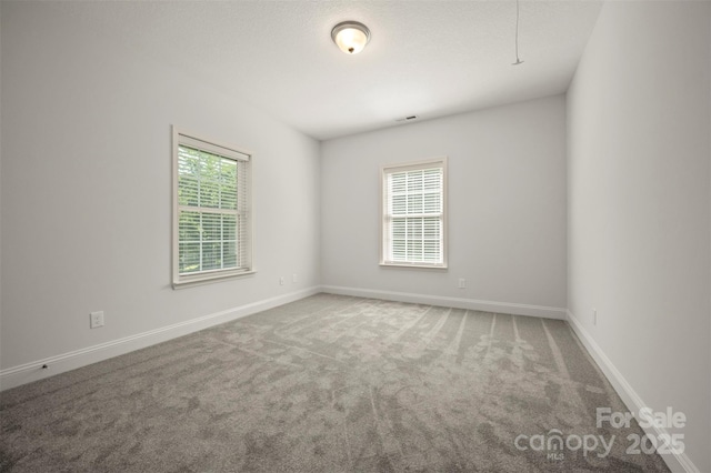 321 Benjamins Way Unit 48, Hendersonville, NC 28792 - spare room featuring carpet floors