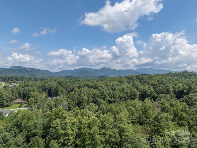 321 Benjamins Way Unit 48, Hendersonville, NC 28792 - mountain view with a heavily wooded area