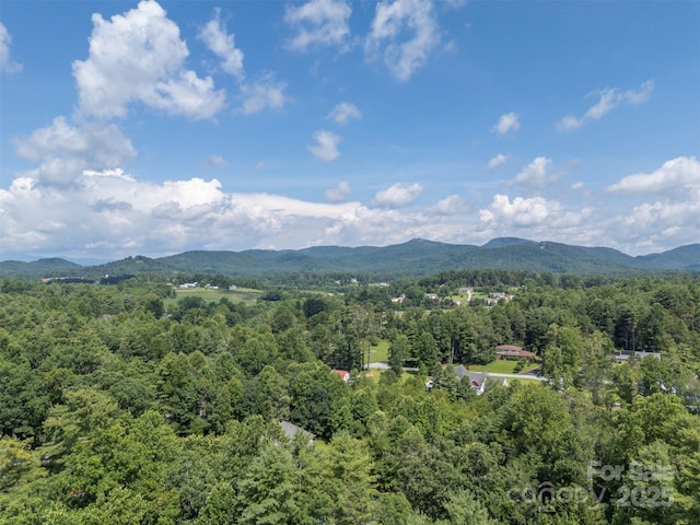 321 Benjamins Way Unit 48, Hendersonville, NC 28792 - view of mountain backdrop with a forest