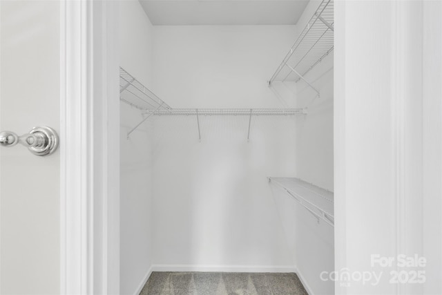 1821 Ethel Guest Ln, Charlotte, NC 28206 - photo 31