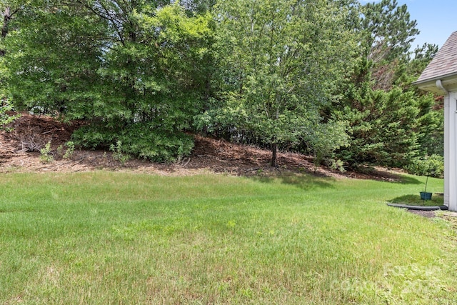 10906 Stone Trail Rd, Charlotte, NC 28213 - photo 18