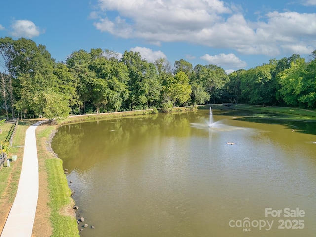 13101 Seascape Ln, Charlotte, NC 28278 - photo 7