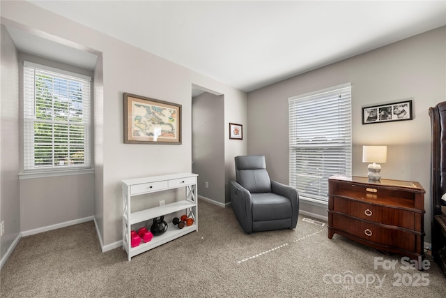 13101 Seascape Ln, Charlotte, NC 28278 - photo 32